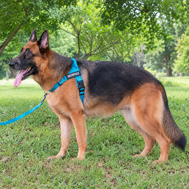 Reflective No-Pull Dog Harness