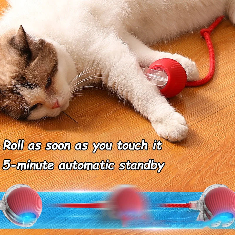 Automatic Rolling Cat Ball Toy with Faux Tail