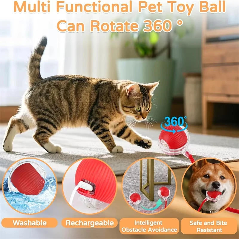 Automatic Rolling Cat Ball Toy with Faux Tail