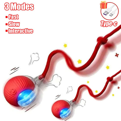 Automatic Rolling Cat Ball Toy with Faux Tail