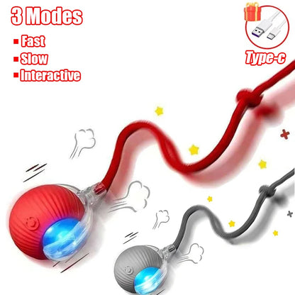 Automatic Rolling Cat Ball Toy with Faux Tail