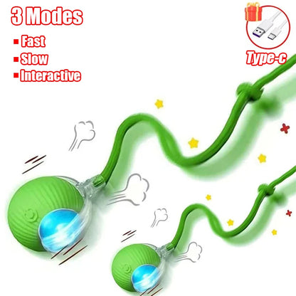 Automatic Rolling Cat Ball Toy with Faux Tail